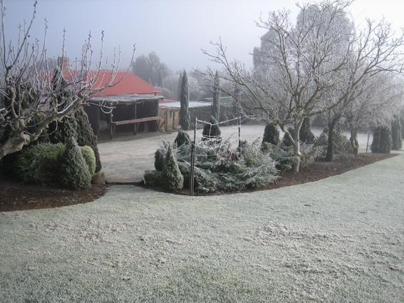 Gumeracha Vineyard Cottage Bnb מראה חיצוני תמונה