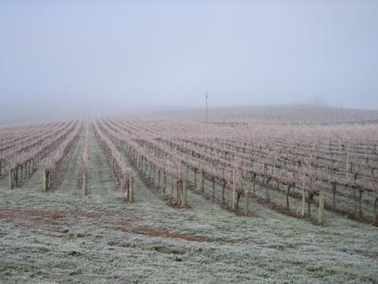 Gumeracha Vineyard Cottage Bnb מראה חיצוני תמונה