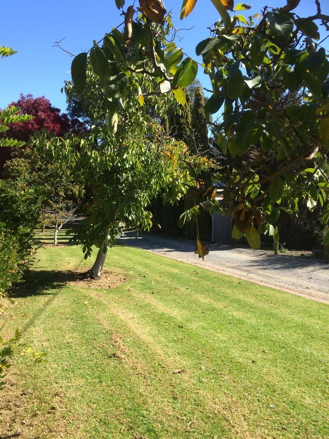 Gumeracha Vineyard Cottage Bnb מראה חיצוני תמונה